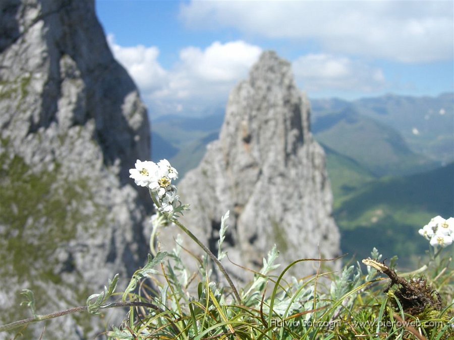 13_Torre Nino a ridosso del Cimon D.Bago_.jpg